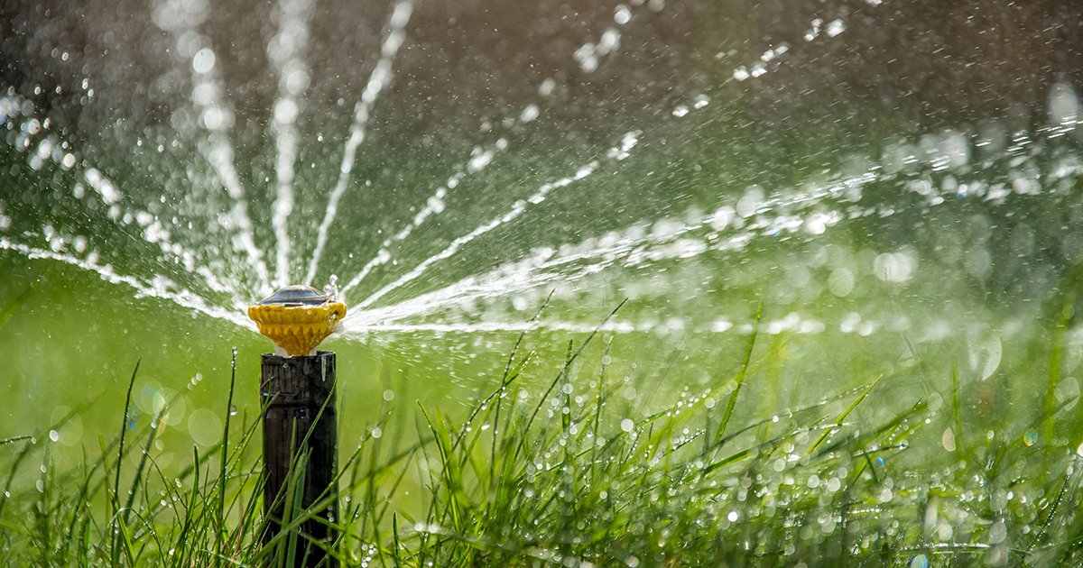 sprinkler head spraying water