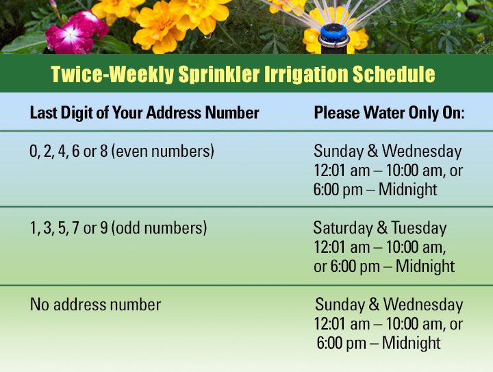 irrigation schedule