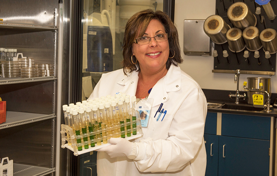 employee testing water samples