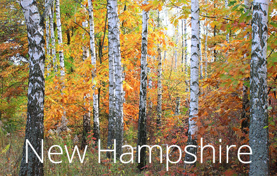 New-Hampshire