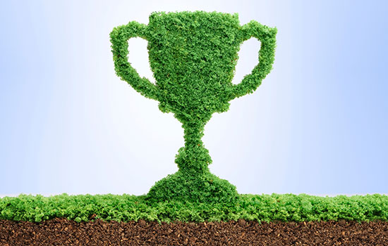 green, trophy-shaped hedge