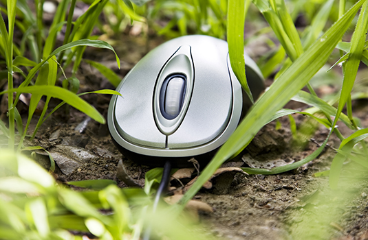 computer mouse in grass