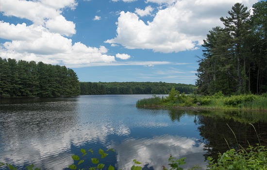 Overlooking a lake and blue sky