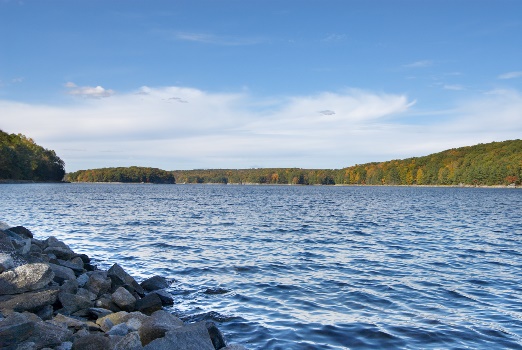 Saugatuck Lakefront Lakefront